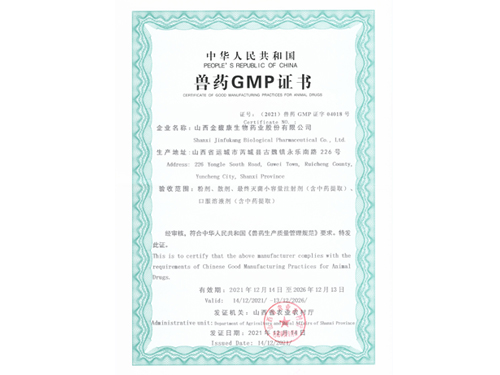 GMP证书